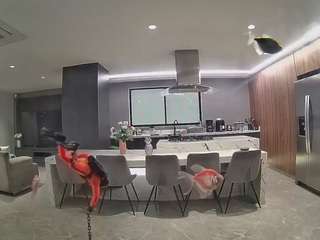voyeurcam casa salsa fishtank
